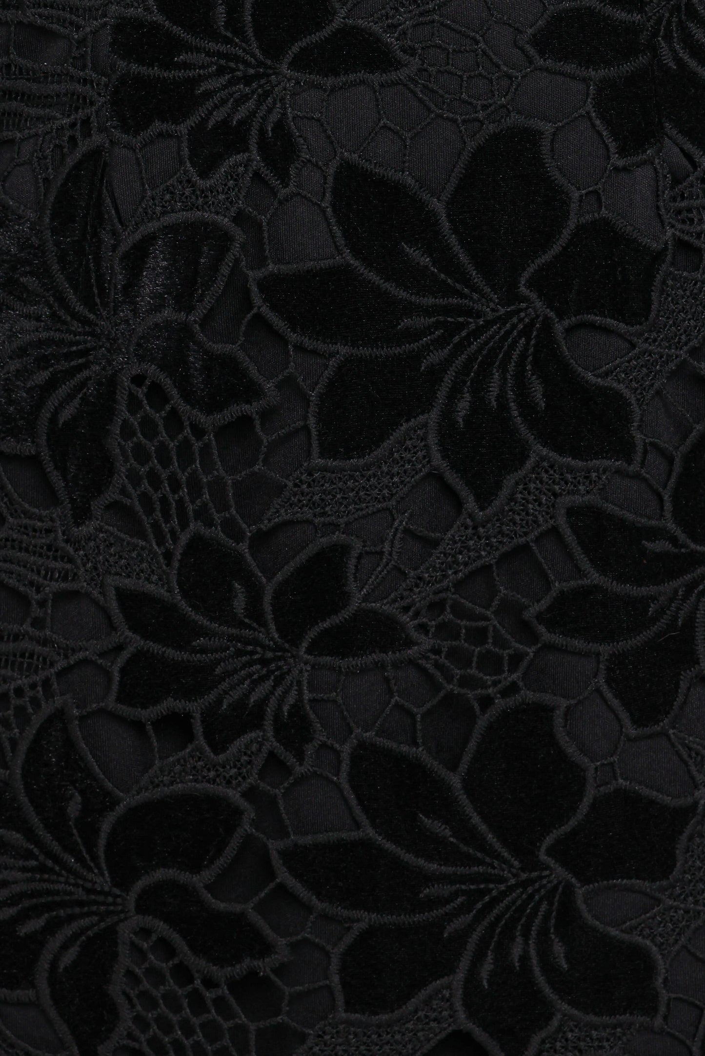 Cynthia Velvet Lace Mini Dress - Black