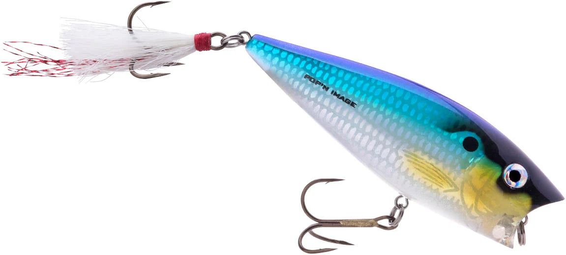Heddon Pop'n Image 3 inch Topwater Popper