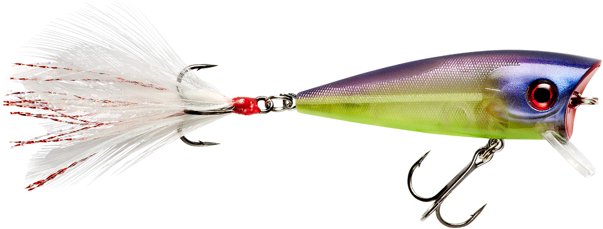Booyah Prank 2 1/2 inch Topwater Popper