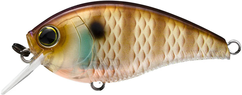 Yo-Zuri 3DB Crank 1.5 Shallow Squarebill Crankbait