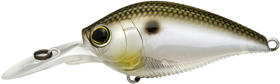 Yo-Zuri 3DB Crank 1.5 MR Medium Diving Crankbait