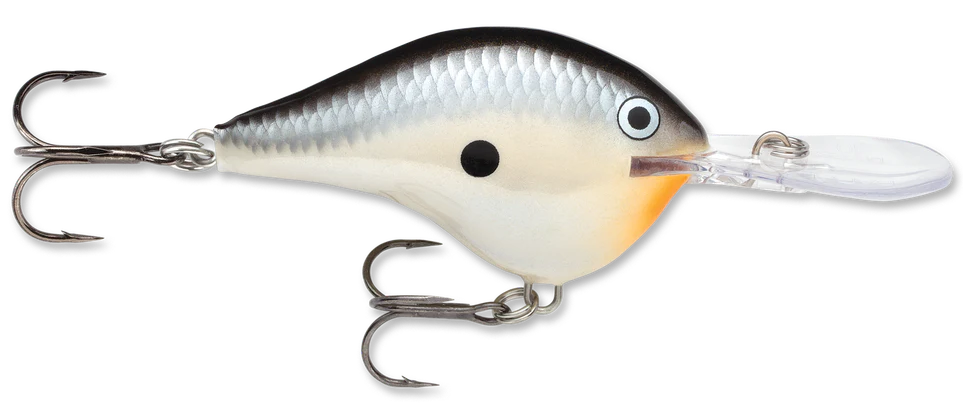Rapala DT Series Crankbait DT10