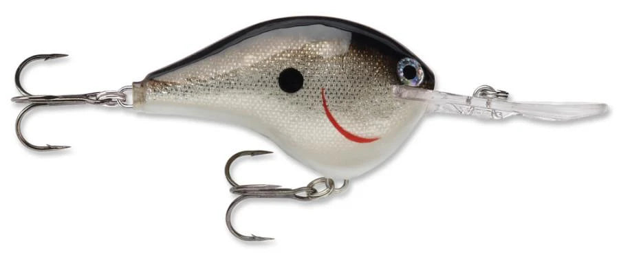 Rapala DT Series Crankbait DT14