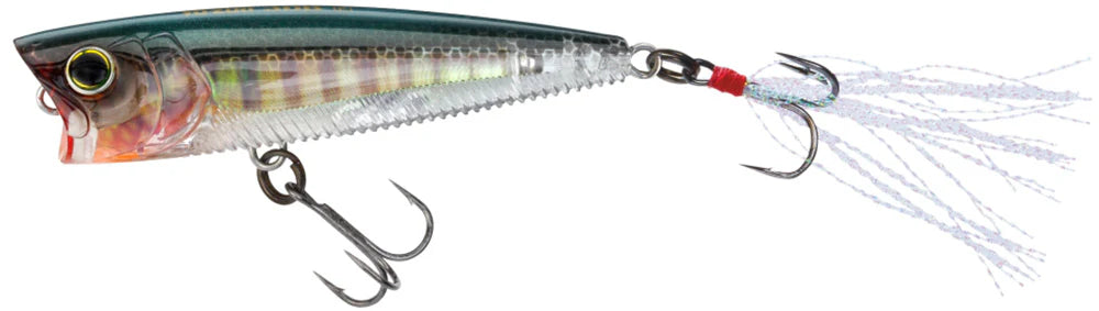Yo-Zuri 3DB Popper 3 inch Topwater Popper