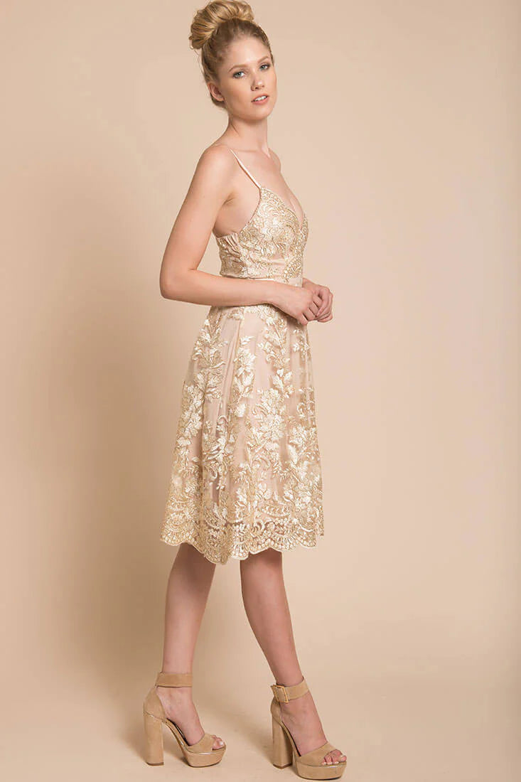 Delilah Lace Dress Beige