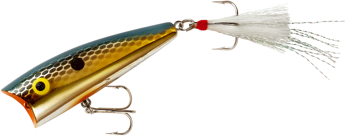 Rebel Pop-R Topwater Popper