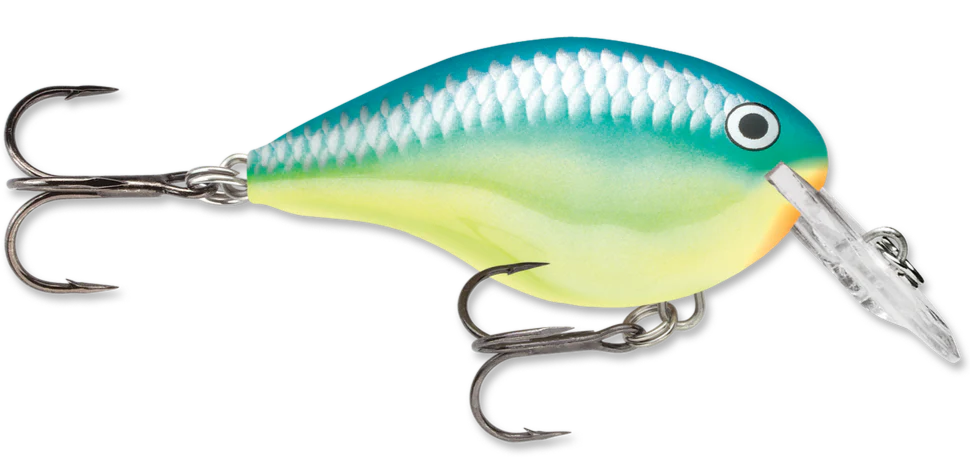Rapala DT Series Crankbait DT4