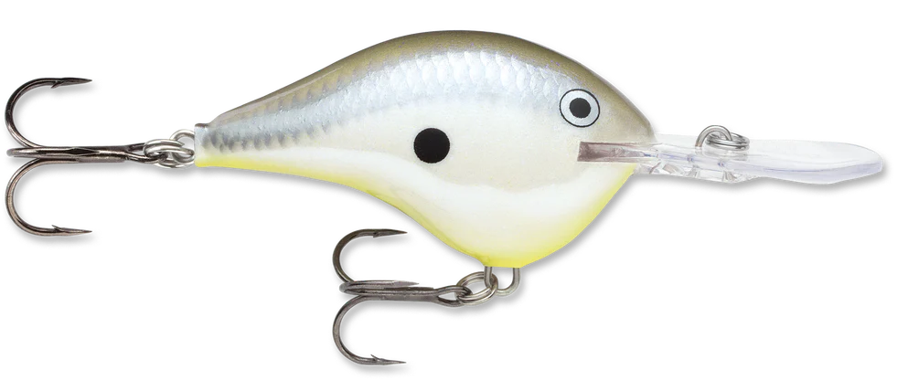 Rapala DT Series Crankbait DT10