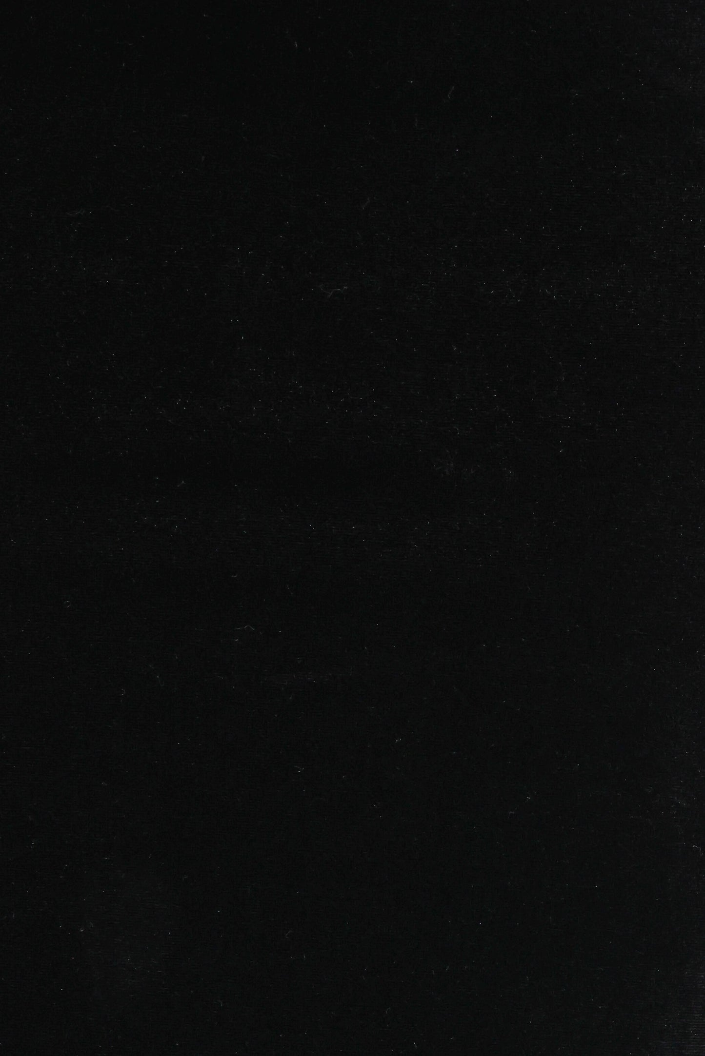 Velman Velvet Maxi Skirt - Black