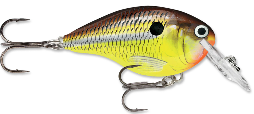 Rapala DT Series Crankbait DT4