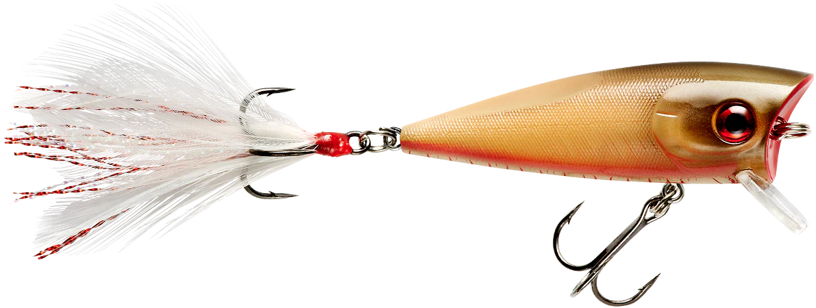 Booyah Prank 2 1/2 inch Topwater Popper