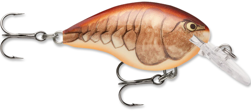Rapala DT Series Crankbait DT4