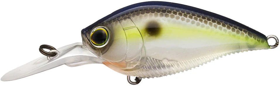 Yo-Zuri 3DB Crank 1.5 MR Medium Diving Crankbait