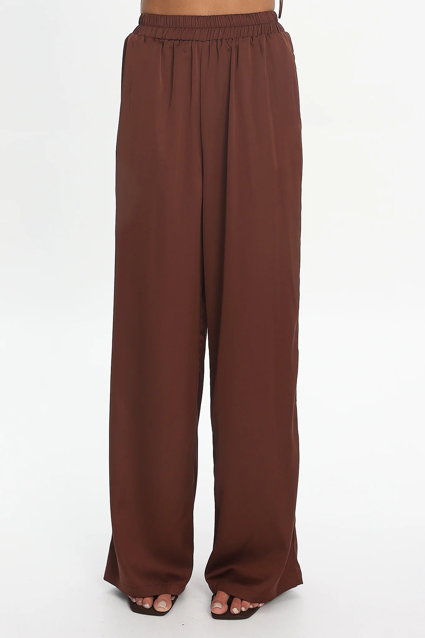 Danita Elastic Waist Pants Chocolate