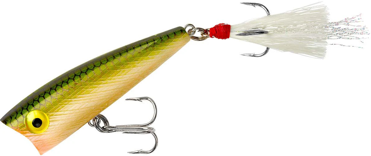 Rebel Pop-R Topwater Popper