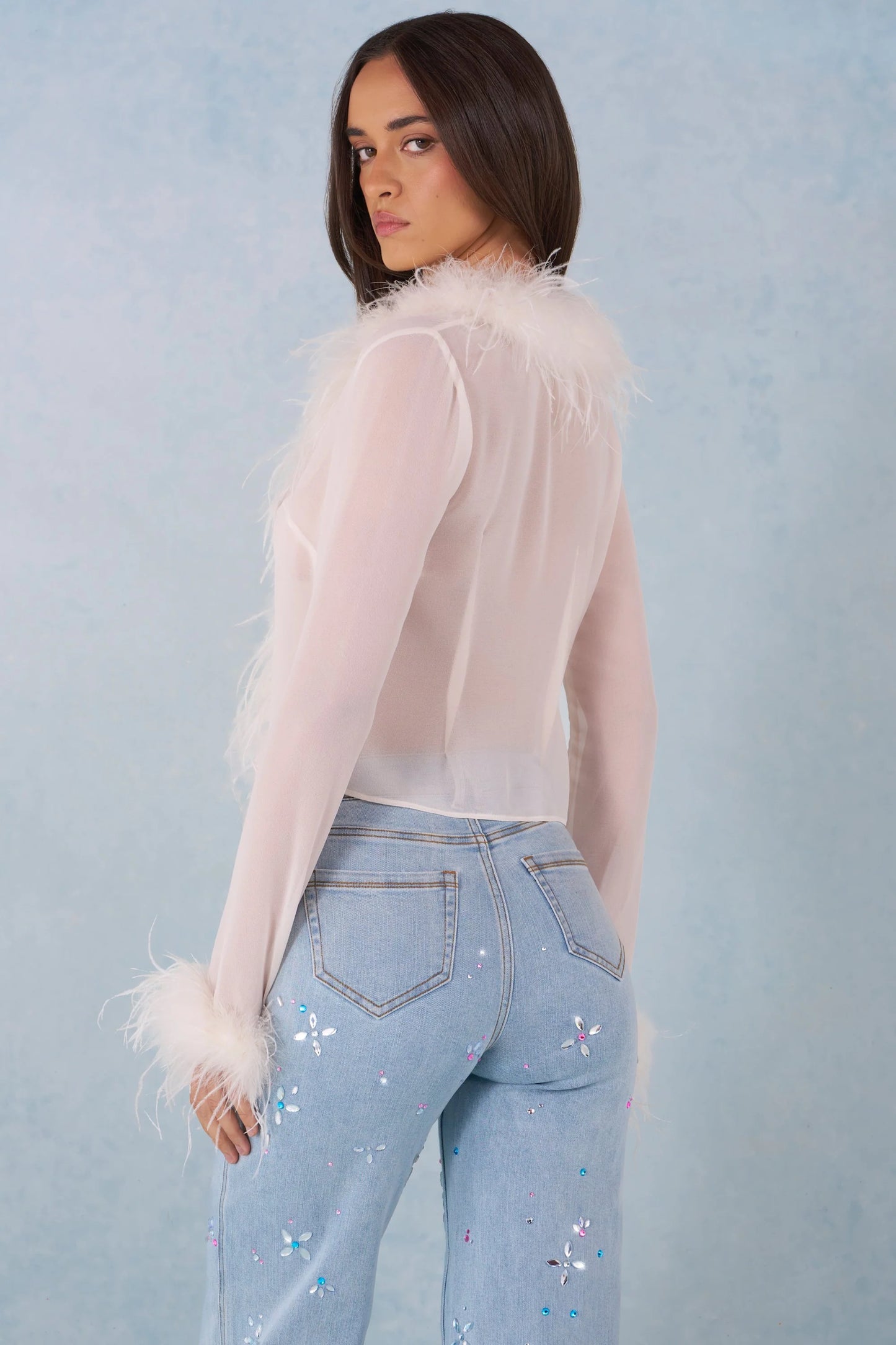Feather Trim Sheer Top in Ivory