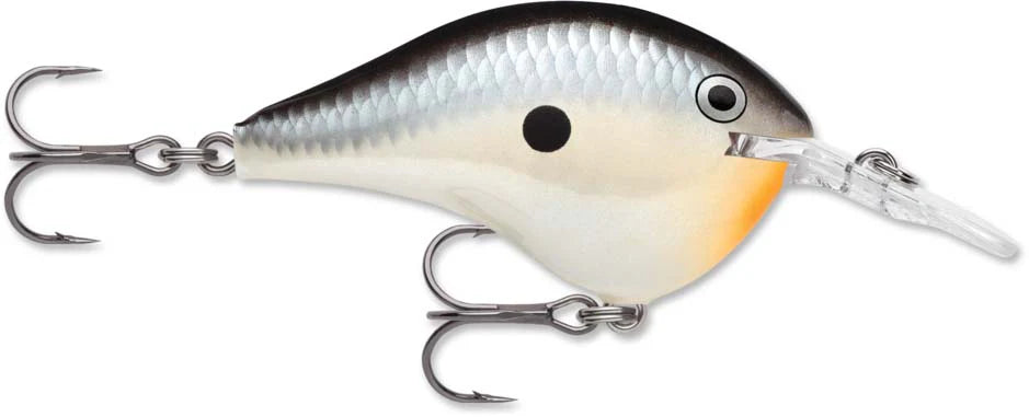 Rapala DT Series Crankbait DT6