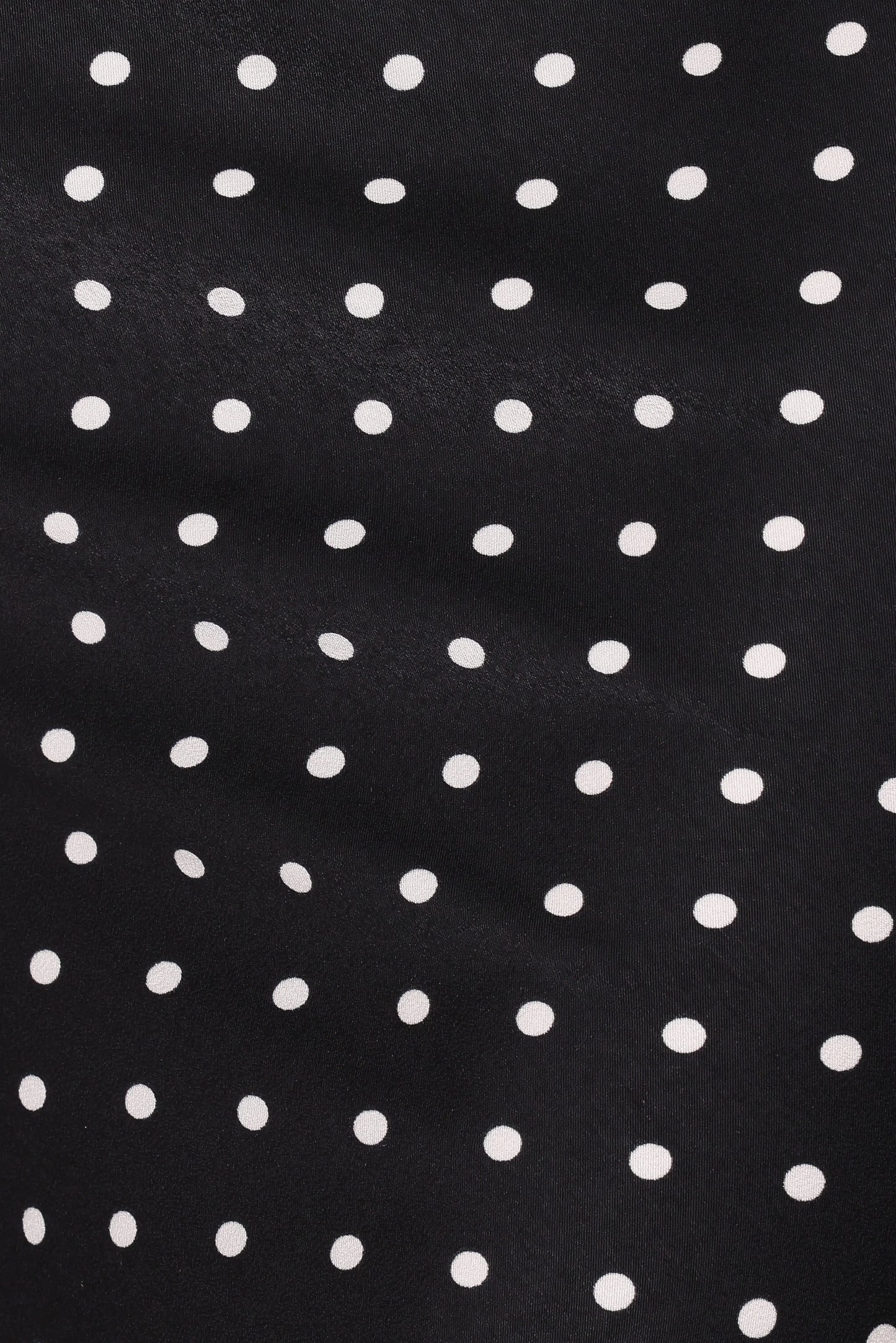 Ailbhe Lace Skirt - Black Polka Dot