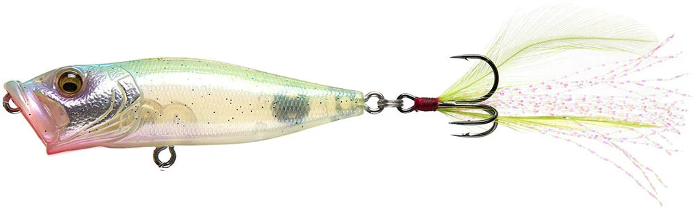 Megabass Pop-X Topwater Popper