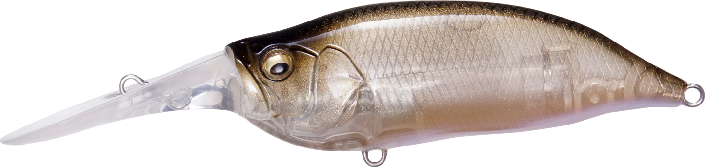 Megabass IXI Shad Type 3 Medium Diving Crankbait