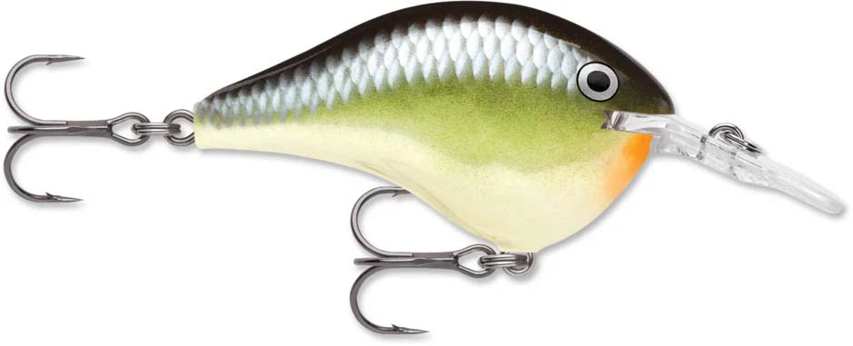 Rapala DT Series Crankbait DT6