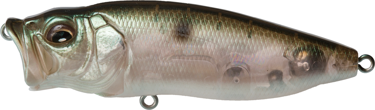 Megabass PopMax Topwater Popper