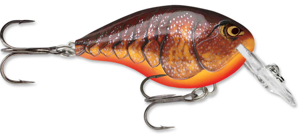 Rapala DT Series Crankbait DT4